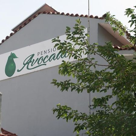 Pension Avocado Skiathos Exterior foto